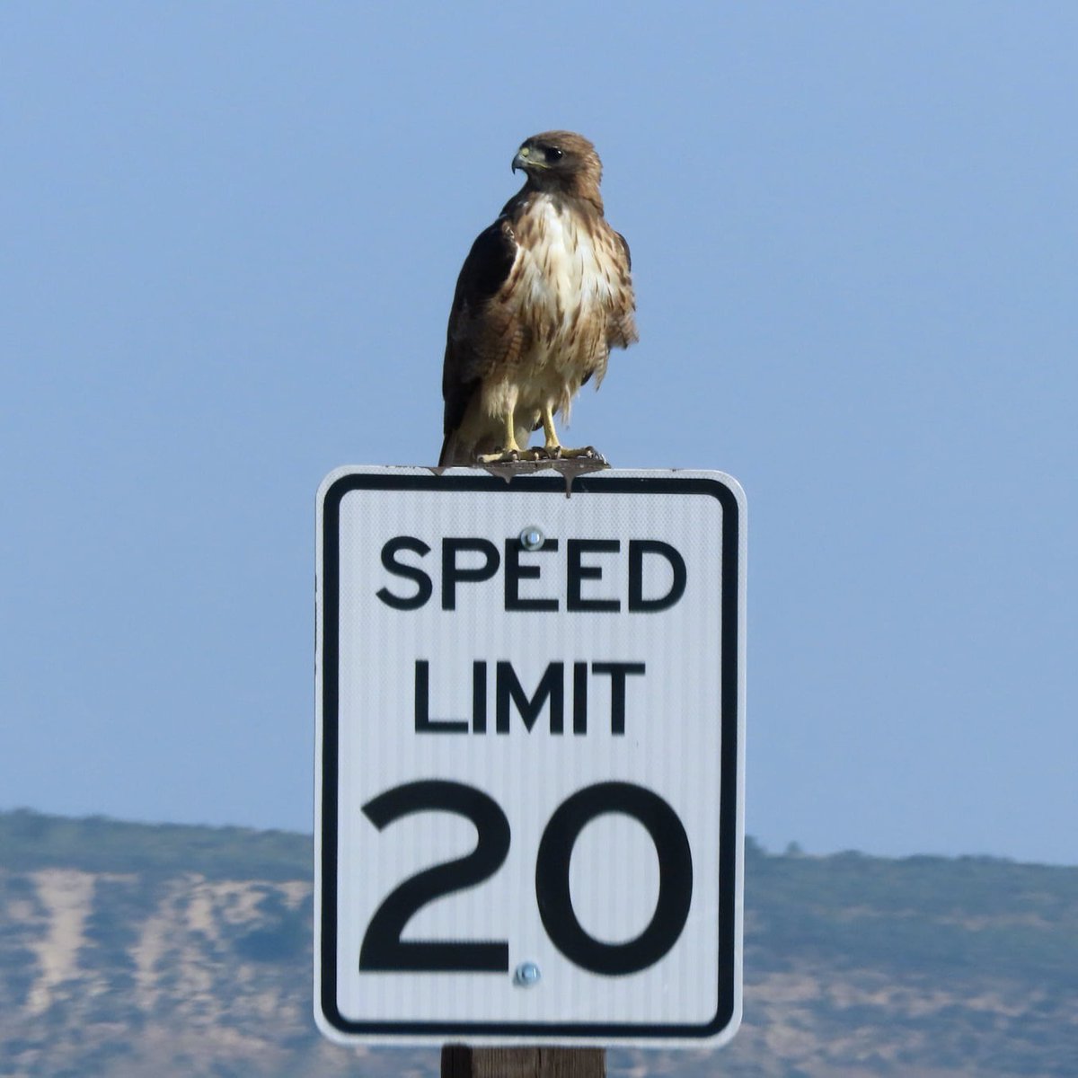 Interior's tweet image. Speed limit enforced by aircraft.