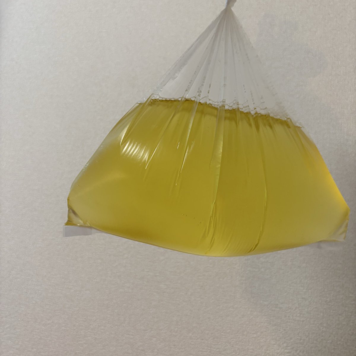 膀胱可視化PART2

なんかまえより量多い気がする
膀胱っておっきいんだねってわかる
 #おしがま好きと繋がりたい  #おしがま  
#おしがま男子 #おしがま男子 
 #膀胱可視化