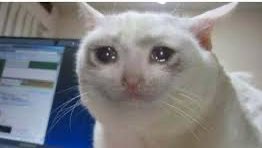 منی که کل امتحانای پایان ترمم رو چت جی پی تی جواب دادش
(سلام بر مشروطی)