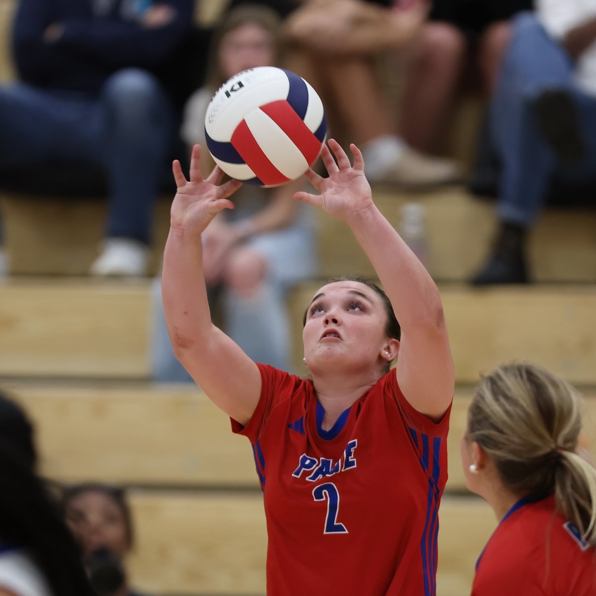 JohnCrossPhotography.com

Page Volleyball wins 3-1 over Summit 

app.zenfolio.com/photos/album/5…