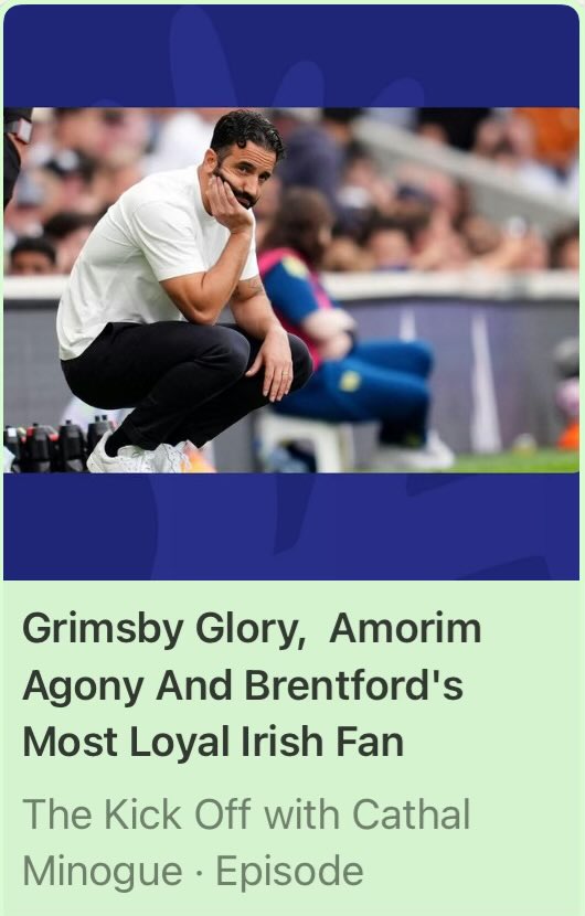 Irish Bees 🇮🇪🐝 tweet media