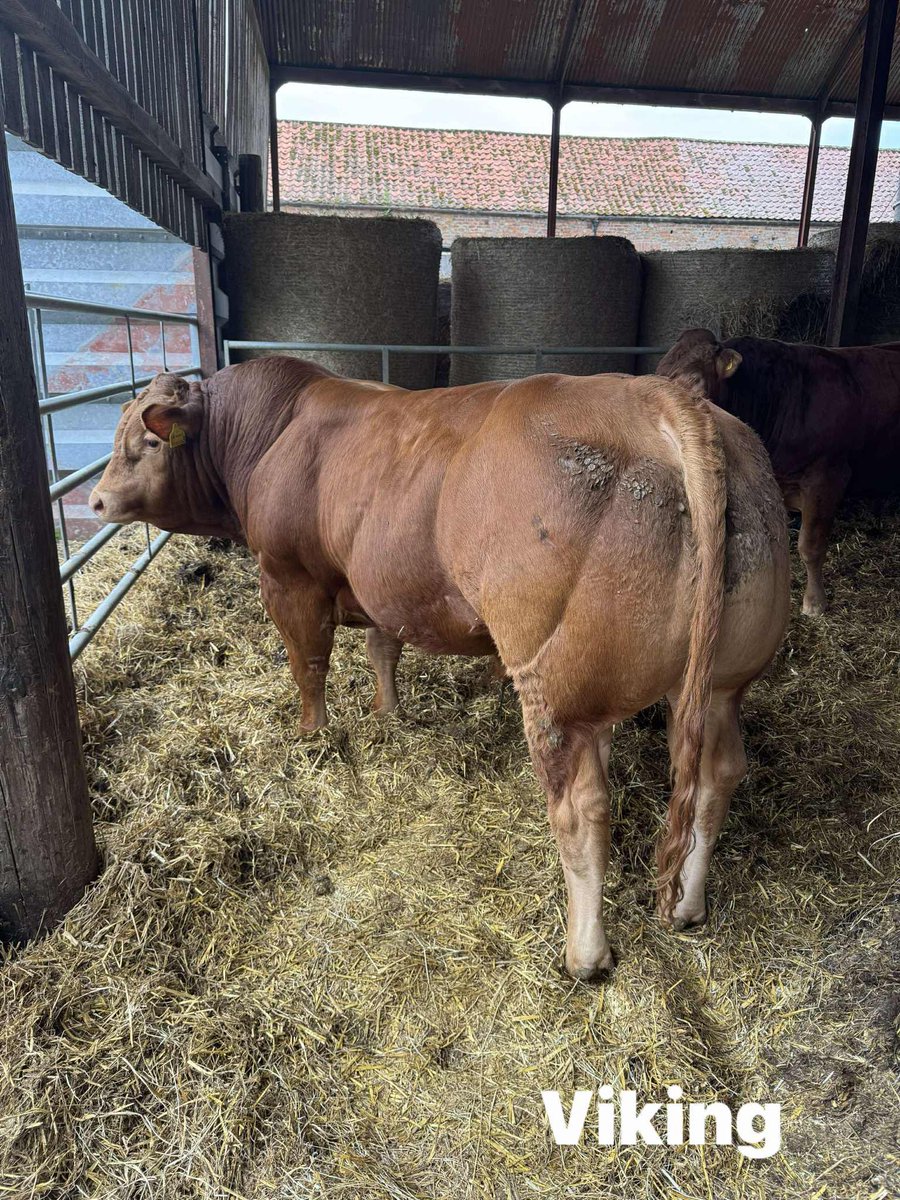 Charlotte ‘Garbs’ Wright tweet media