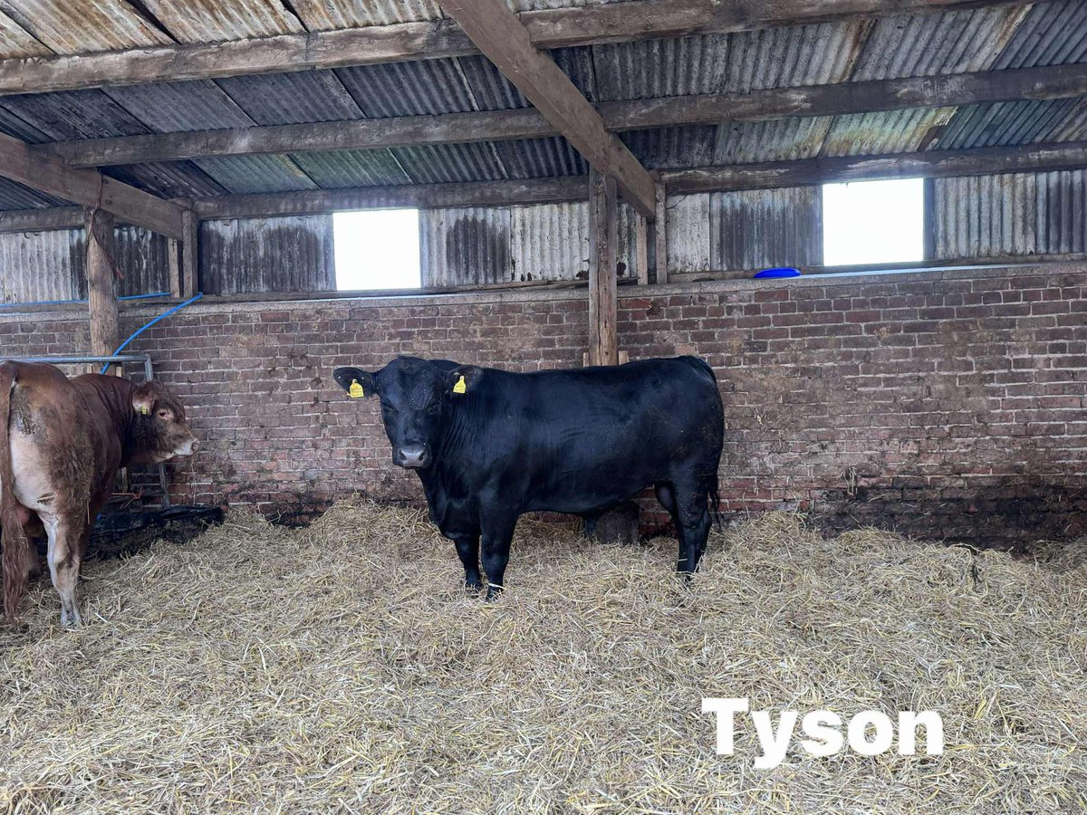 Charlotte ‘Garbs’ Wright tweet media