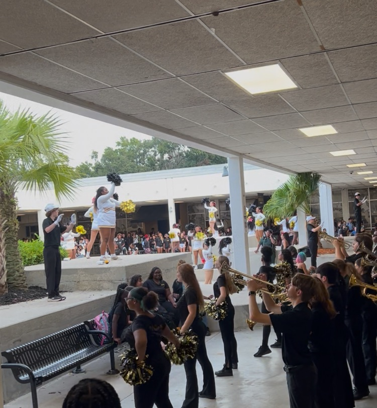 BuchholzHigh's tweet photo. 🎉 Friday Spirit! 🎉 We kicked off the morning with a pep rally to get ready for tonight’s big game. 🏈💛🖤 Let’s go, Bobcats!!! 🐾 https://t.co/hUfAByw35q