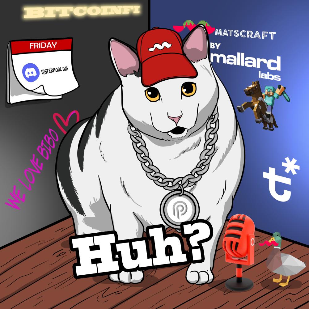 Huh The Viral Cat tweet media