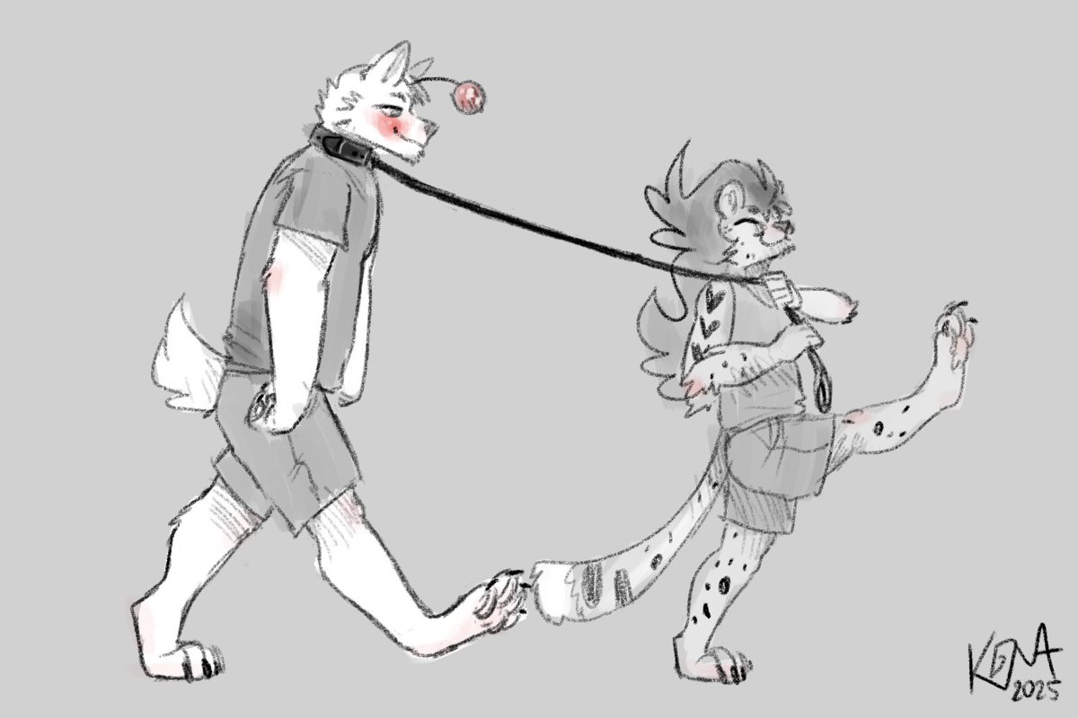 Koma's Carousel tweet media