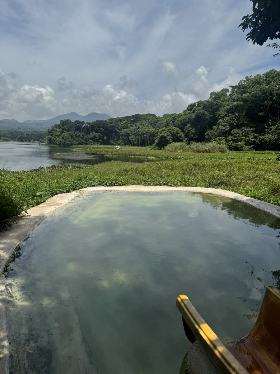 isaael's tweet image. 💚🍀🦜