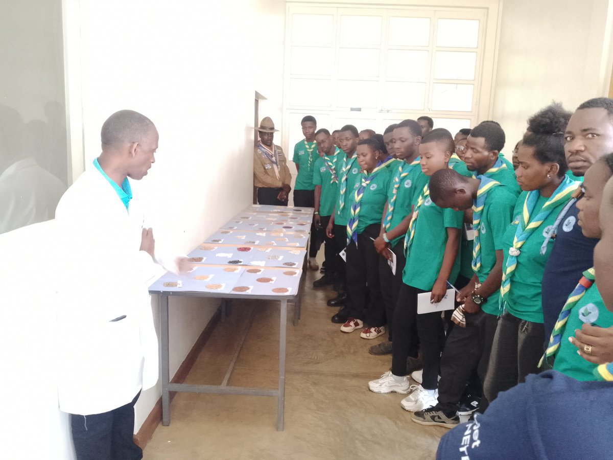 Le deuxième jour du #CampÉcologique2025, les participants ont visité la Banque Nationale de Gènes du Rwanda(RNGB) à <a href="/RwandaAgriBoard/">Rwanda Agriculture & Animal Resources Devpt Board</a> Station Rubona; spécialisée dans le programme de gestion des ressources génétiques à <a href="/RwandaAgriBoard/">Rwanda Agriculture & Animal Resources Devpt Board</a>
#EcoCamp2025
#Biodiversité