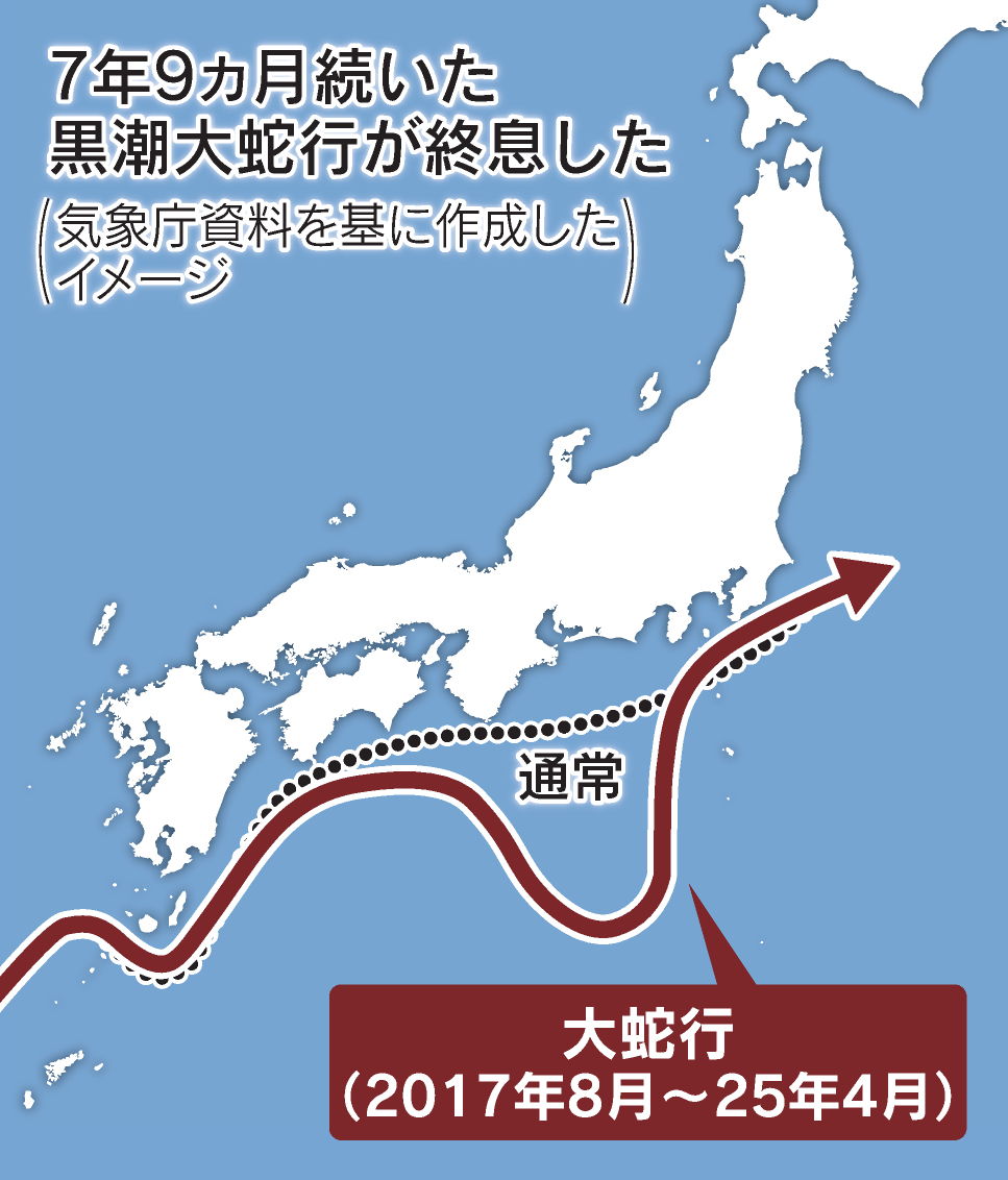moriiさん おさむらいさん共同開発モデル「HF-KOBOREZAKURA」 | Deviser