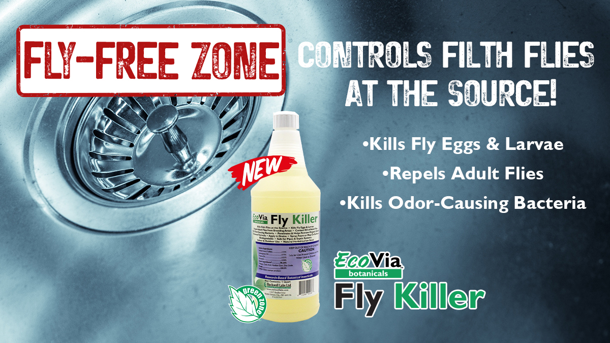 Forshaw_Inc's tweet image. Fly Free Zone! EcoVia Fly Killer Controls Filth Flies At The Source! It kills all life stages of flies &amp;amp; odor-causing bacteria,
Link: rockwelllabs.com/ecovia-fly-kil…

#FORSHAW #RockwellLabs #PMP #PestControl #PestManagement