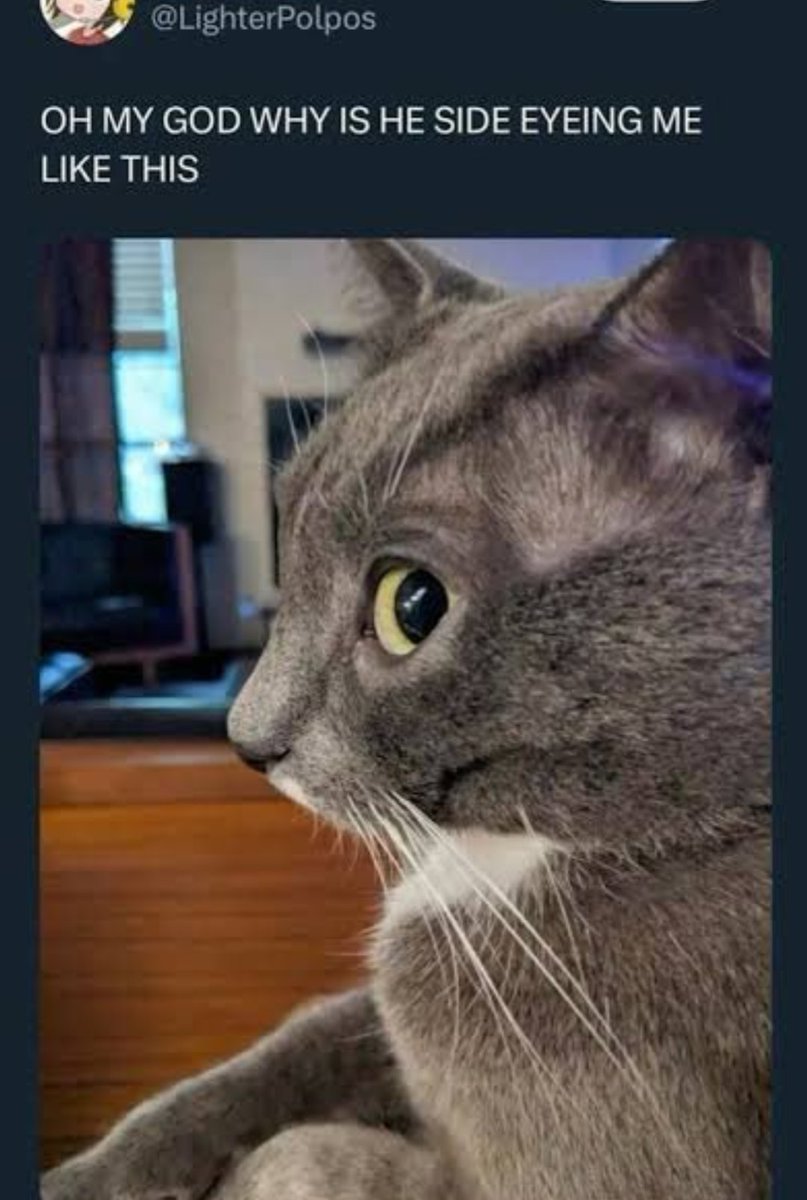 (mi)nvincible tweet media