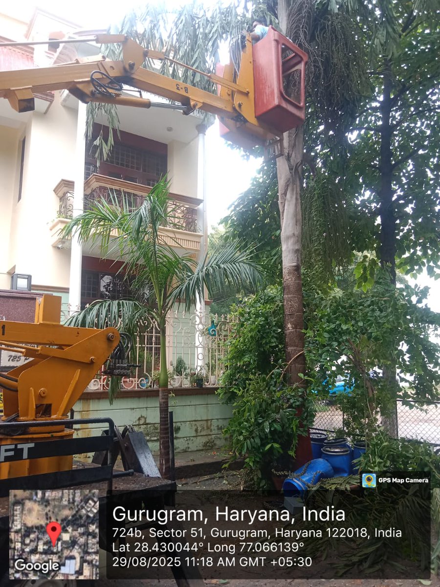 MunCorpGurugram's tweet image. 🌴 Tree trimming work in Sector 51, Gurugram 🚜
Ensuring safety and keeping the neighborhood clean &amp;amp; green.
#Gurugram #TreeTrimming #CleanAndSafe #Sector51

#SwachhGurugram #mcg #greencity #CleanGurugram #mycitymyresponsibility #municipalcorporationgurugram #SanitationDrive
