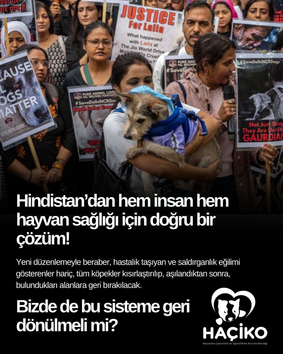 Hindistan’daki canlar hapishanelerden kurtuldu, ülkemizde de benzer uygulamanın olmasını istiyoruz. 

Hindistan’da Anayasa Mahkemesi kararıyla sokakta yaşayan köpekler kısırlaştırılıp aşılanarak yeniden serbest bırakılacak.