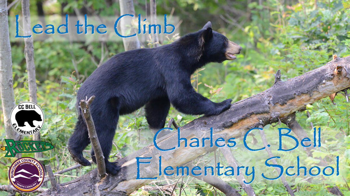 Dr_Rob_Jackson's tweet image. 🙌 At Charles C. Bell Elementary School, it takes a village—and what a village it is! Proud students, dedicated staff, and supportive families make this school a place of warmth and excellence. #LeadTheClimb #FirstWeekOfSchool
