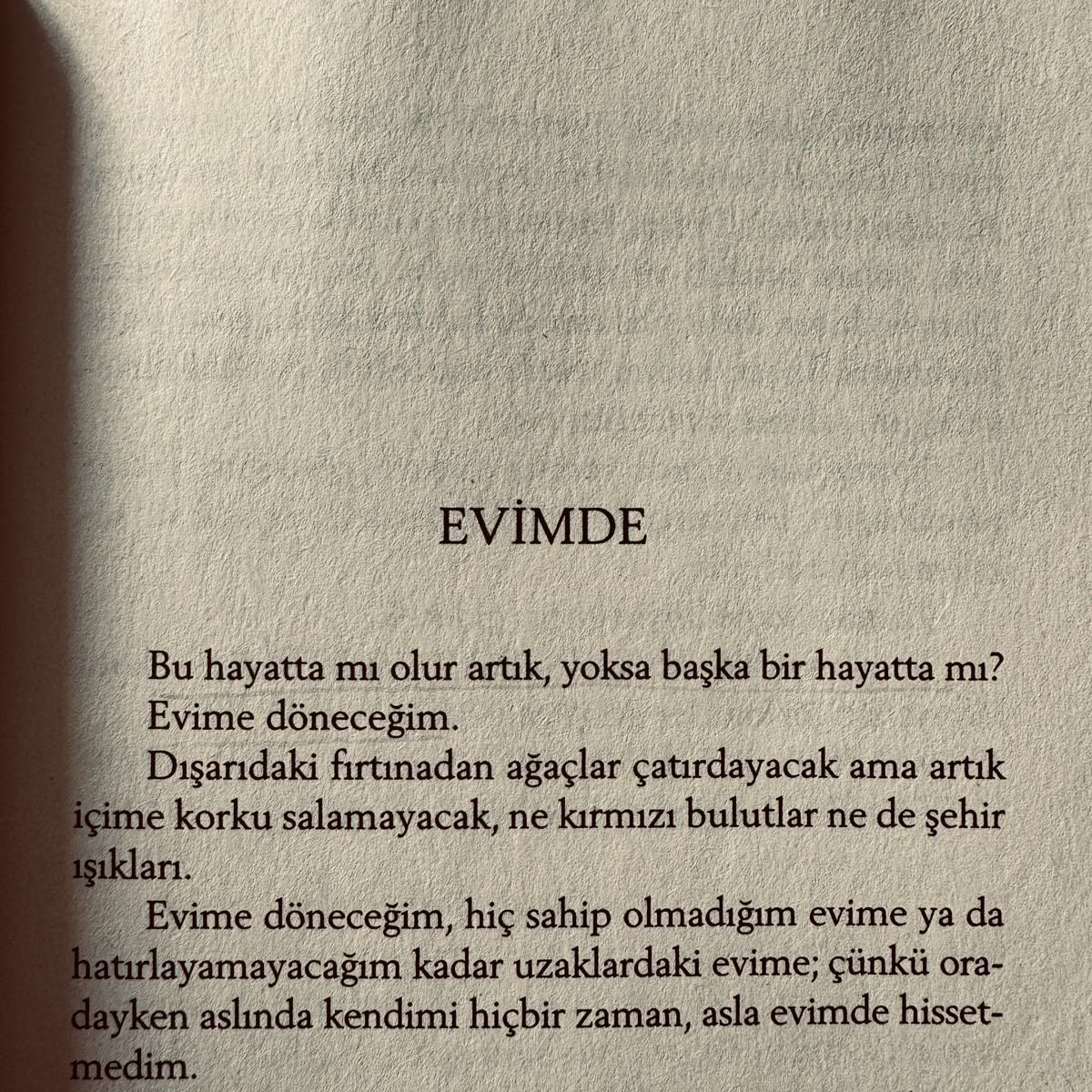 eli (@halfashade) on Twitter photo 