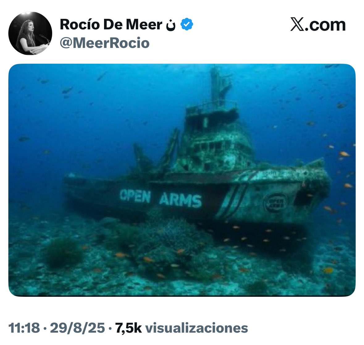 Desde el río hasta el mar Rocío De Meer es una putísima subnormal.