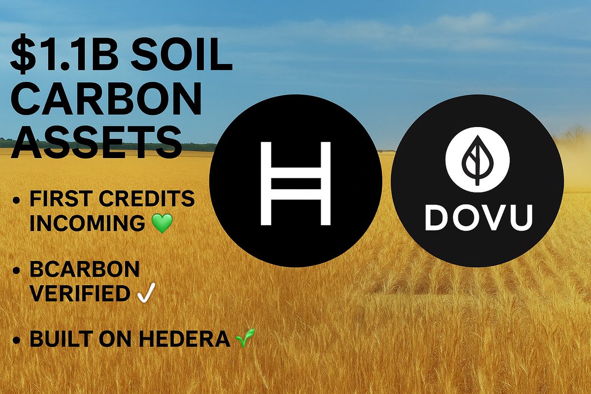 1/ Big news for #DOVU &amp; #Hedera!
The final paperwork has been submitted to BCarbon to verify the carbon claims of the VCH project ✅
→ First batch of carbon credits incoming 

2/
An independent scientific authority has verified the project’s claims.
This is the foundation for