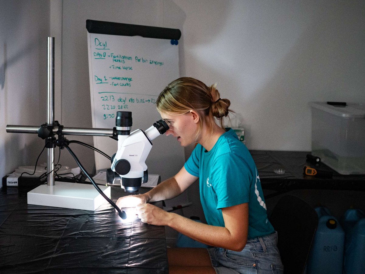 NAUI Worldwide tweet media