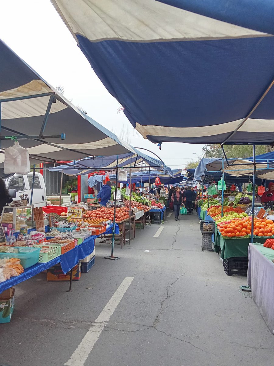 📢 Villa Alsino se integra al proyecto comunal Banco de Alimentos para reutilizar y evitar pérdidas de material compostable 🍅🥬🍌

♻️ Esta alianza con la Feria Bellavista es otro paso hacia la sustentabilidad y el apoyo comunitario, donde aportaremos con talleres de #saludmental