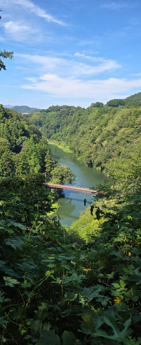 yu429's tweet photo. 今日は朝から伊勢原の大山に行こうと予定していたが、一昨日大山ケーブル乗り場付近でクマが出たらしく急遽予定を変更していつもの高尾山‥だけでは物足りなかったので高尾山〜陣馬山ルート途中の城山から下山し相模湖駅までの山と森そして湖を歩いてきた。
久々にいい運動になった。 https://t.co/ql6OqtxYD8