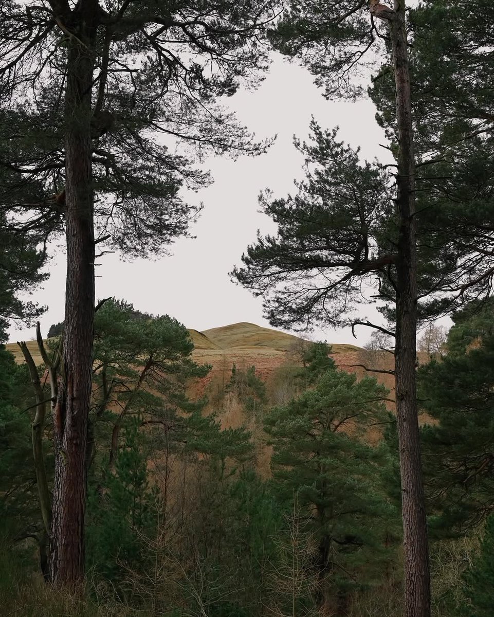 visualsofearth1's tweet photo. Scotland https://t.co/8nbqPPcZ2X