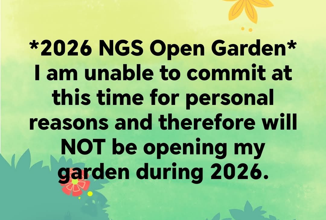 Rosemary Cottage Hook NGS tweet media