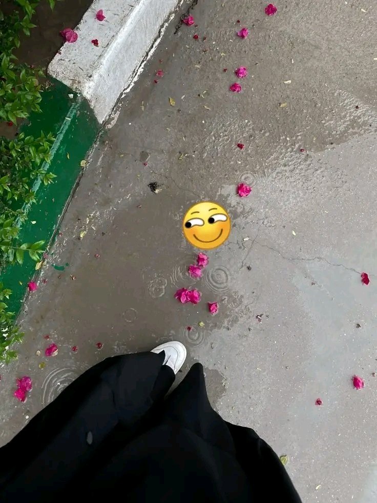 صراحه مطر يجنن شم الهوء نقي من الصباح للان ولا وقف المطر 😘😘
ناقص الجو حق لليوم. آكل ساخن من مطعم تيد بيت بس 😘