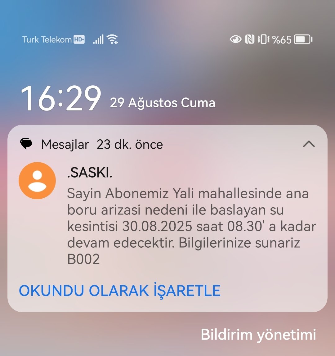 Bizimle eğleniyorlar bence. Bu mesajı atıp ofisçe kahkahaya boğulduklarını düşünüyorum. 2 aydır şanslıysak sabah 6 da su verdiklerini unutmuş olamazlar. Zaten o da benim kata çıkmıyor 😡😡