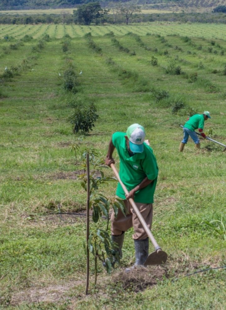 Esto es Venezuela. 

No apoye en contrabando, cada vez que lo hace deja cientos de personas sin trabajo, Venezolanos como usted. 

Lo peor del tema es la calidad TAN mala de esos productos. 

Papá vamos duro con el Hecho en Venezuela. 

Una mano ayudando la otra. Unidos...