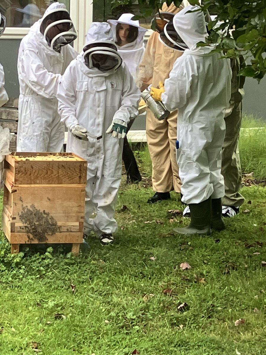 Although it started raining, we managed to lift some of our beautiful honey from
Hive 2. Boxed, secured and ready for extracting next week. Great work from all involved. Apologies to Jessica about the sting 🐝