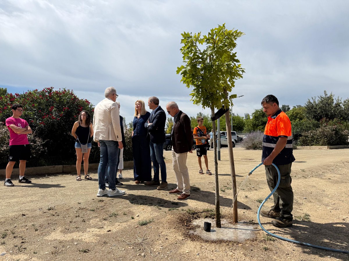 Barris més connectats i entorns escolars més segurs gràcies a les ajudes del Govern d'Espanya

Obrim al trànsit el Carrer del Roure, nou eix per la connectivitat de Ciutat Jardí. I finalitzen les obres de pacificació de l'entorn de l'escola per crear nous espais d'esbarjo segurs