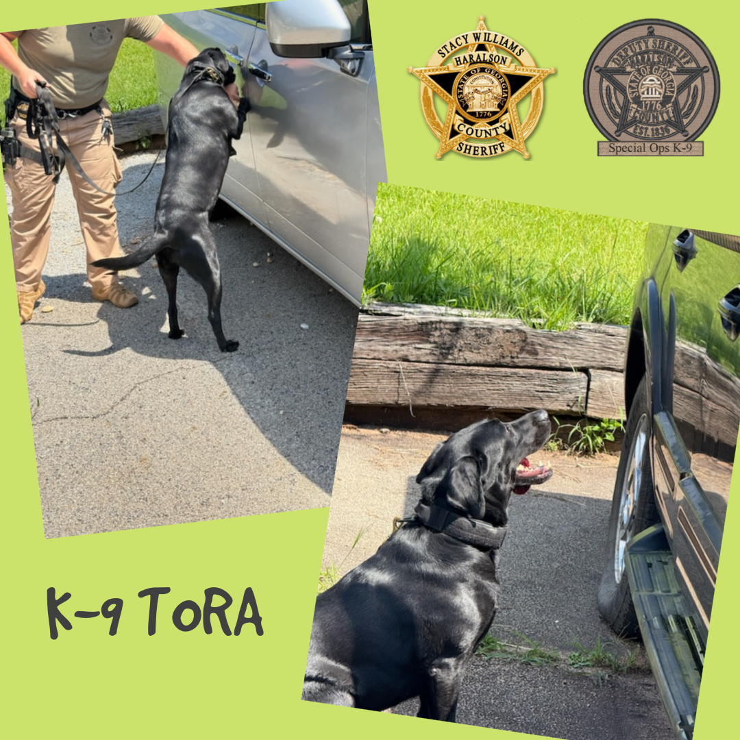 Sniff. Sit. Treat. Repeat.

K-9 Tora has a nose for justice... and the treats in Sgt. Chandler's pocket

#K9Tora🐾💙
#HCK9Division
#WorkingPup
#Training 
#Community
#HCSO