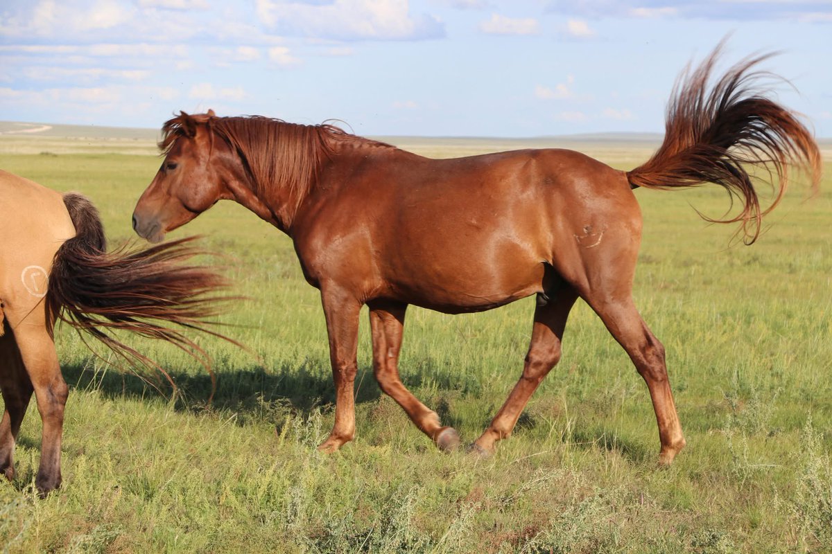 Cэтгэл амар 
Сайхан амраарай