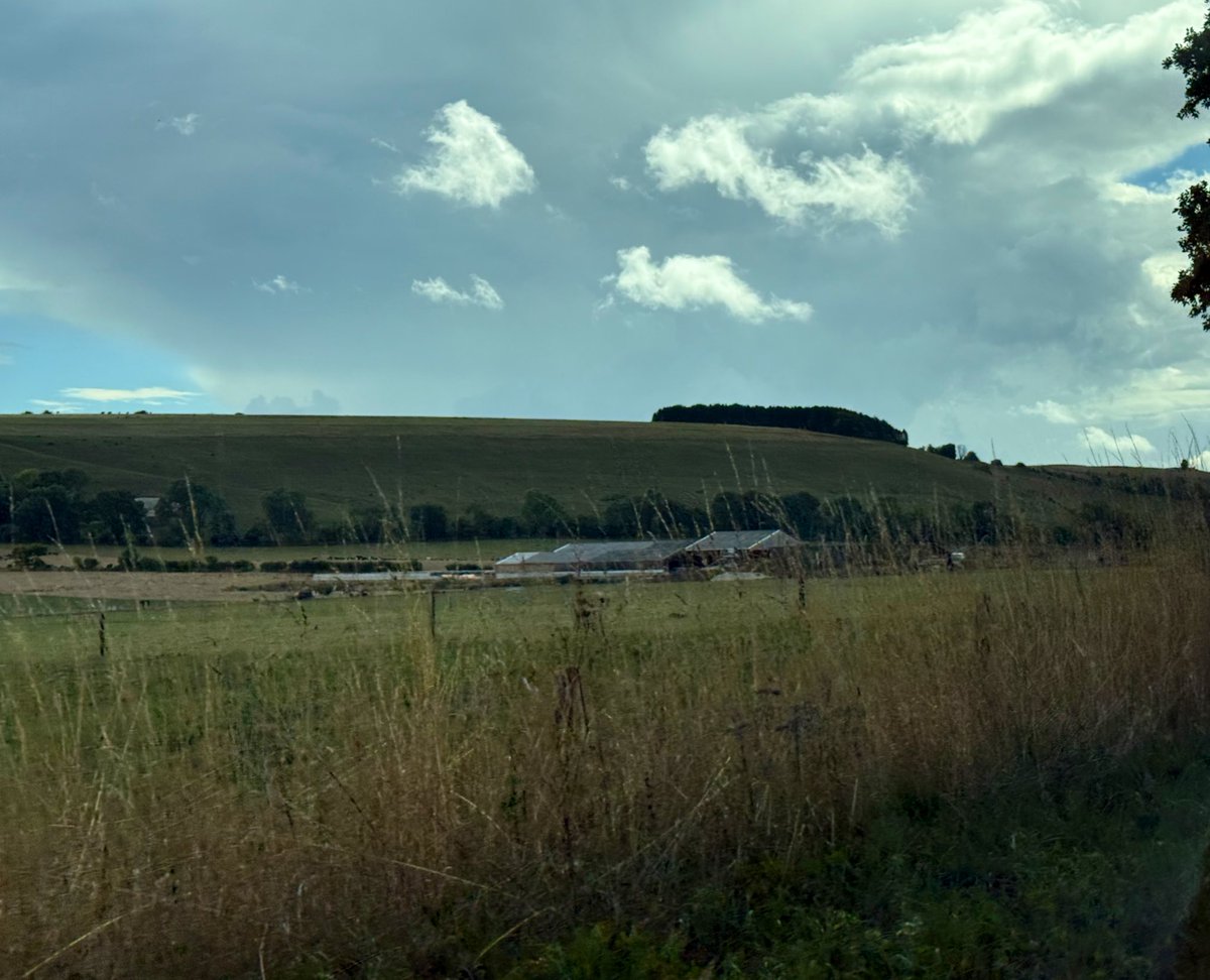 Andrew007Uk's tweet image. Caterpillar Hill in Wiltshire so named because from a distance the trees look like a 🐛 

One of many little known features to discover in 🇬🇧 

Do share some of your own discoveries. 

#WeekendBreak