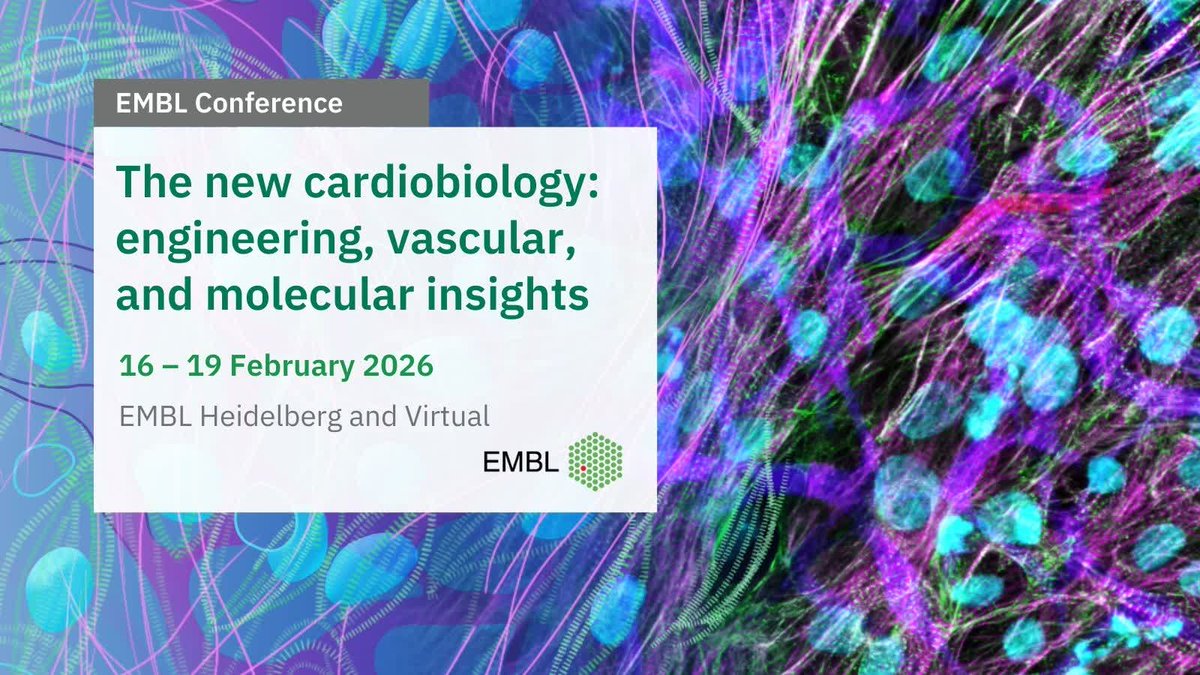 📣 #EMBLCardioBiology just opened for registrations!

In light of further technical advances in the field, the second edition of the EMBL Conference 'The new cardiobiology: engineering, vascular, and molecular insights' will unite speakers across cardiac and vascular biology,