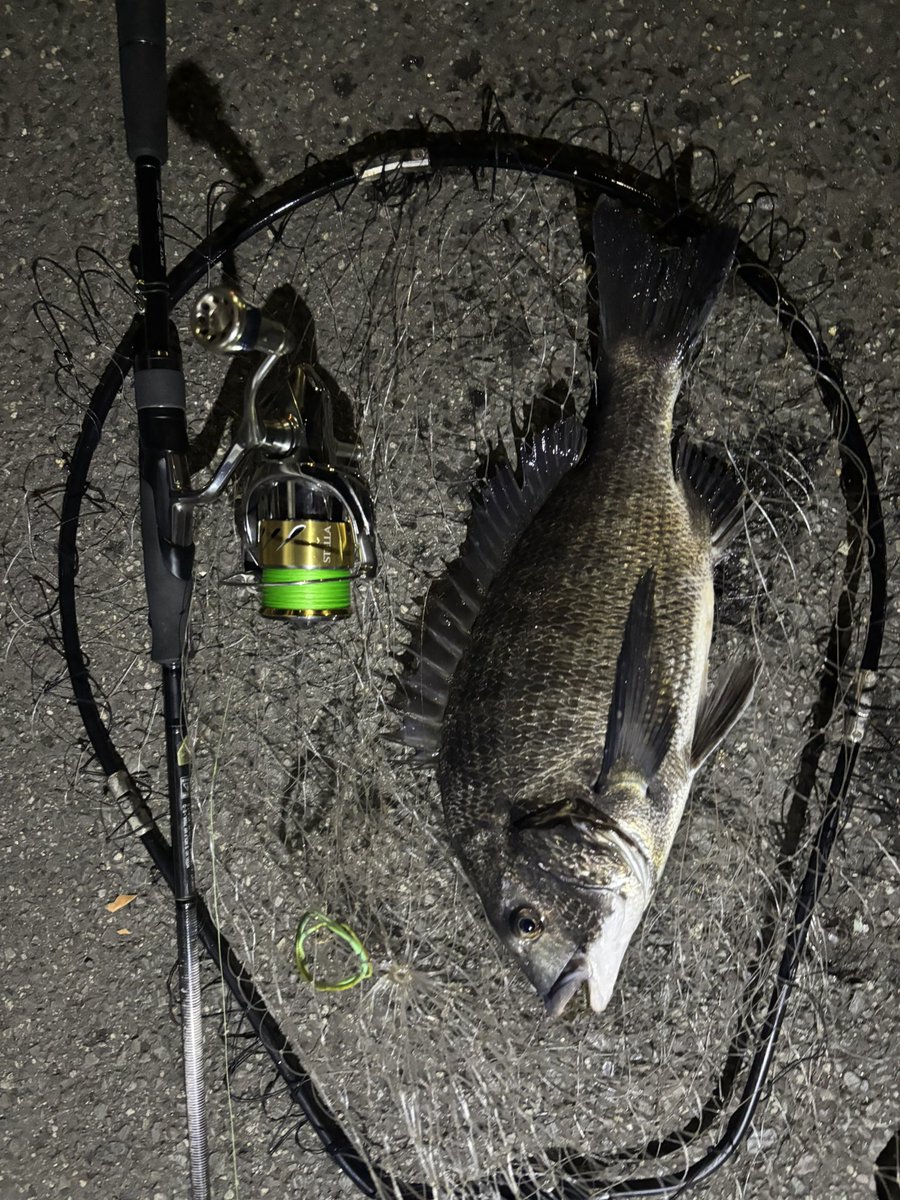 pyonpyonwt's tweet image. 例の台が出没するかしないかでまたじあい