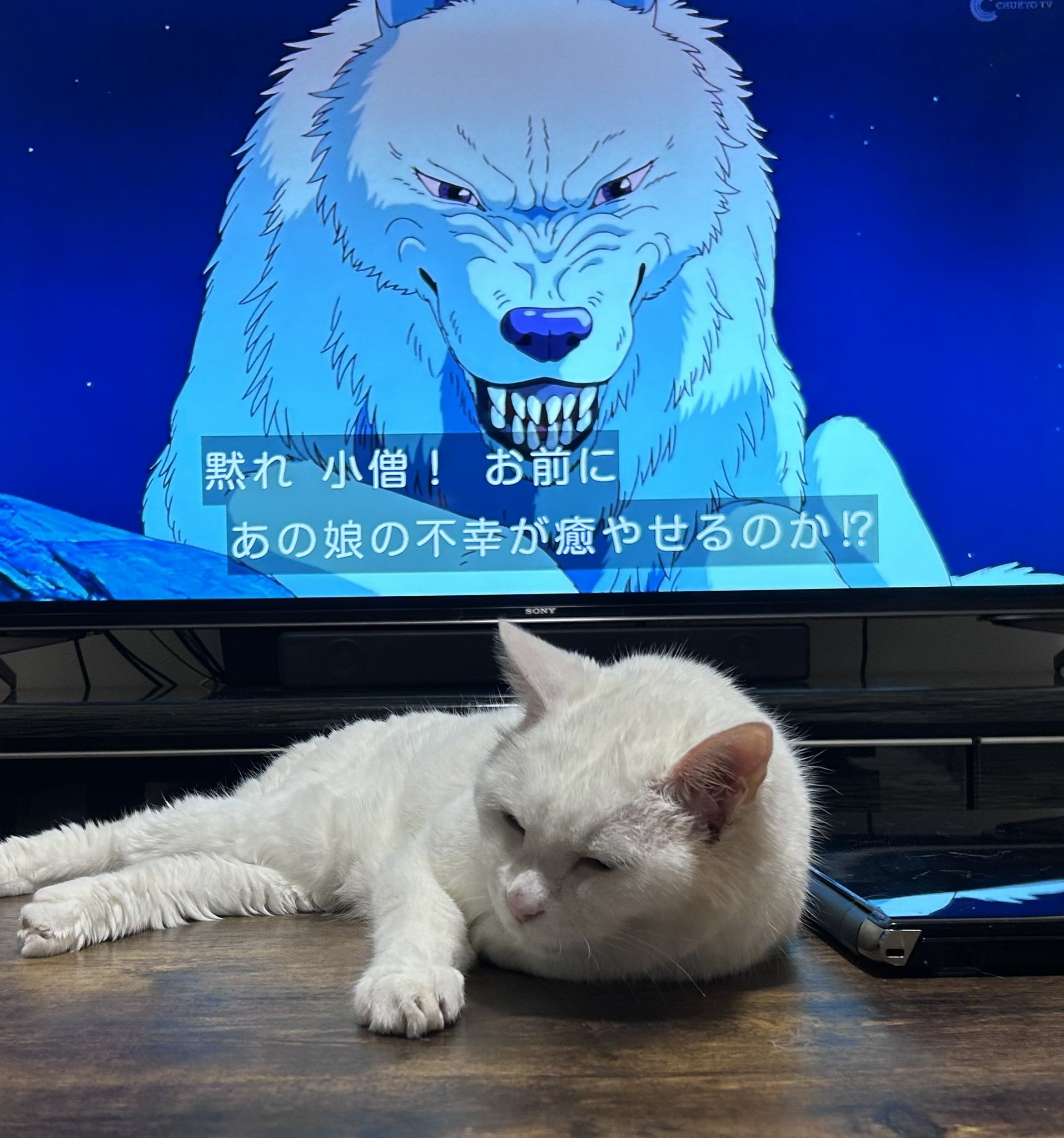 中日今中中四日🤓たにも党 on X: 