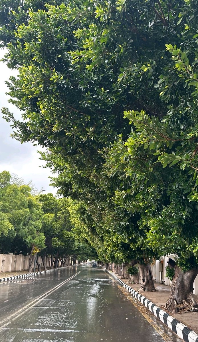 #يوم_الجمعة 

اللهم صلِ وسلم على نبينا محمد وعلى آله وصحبه أجمعين .

اللهم ارحم والدي وأموات المسلمين .