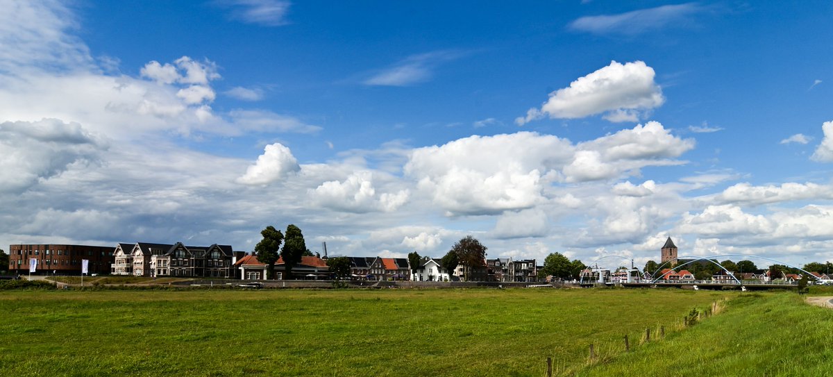 Johan Bokma tweet media