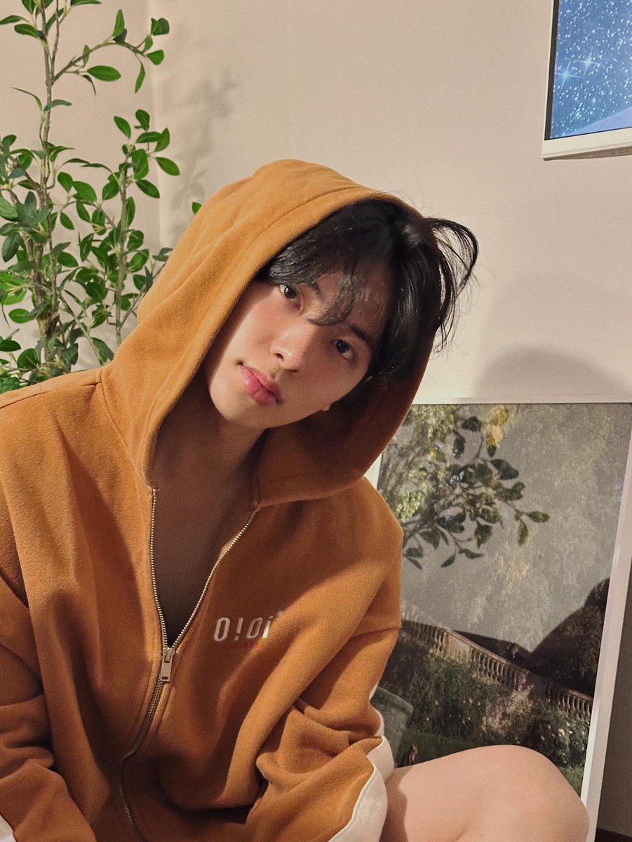 atbo archive tweet media