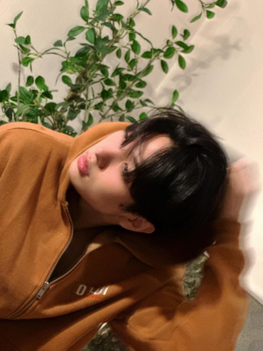 atbo archive tweet media