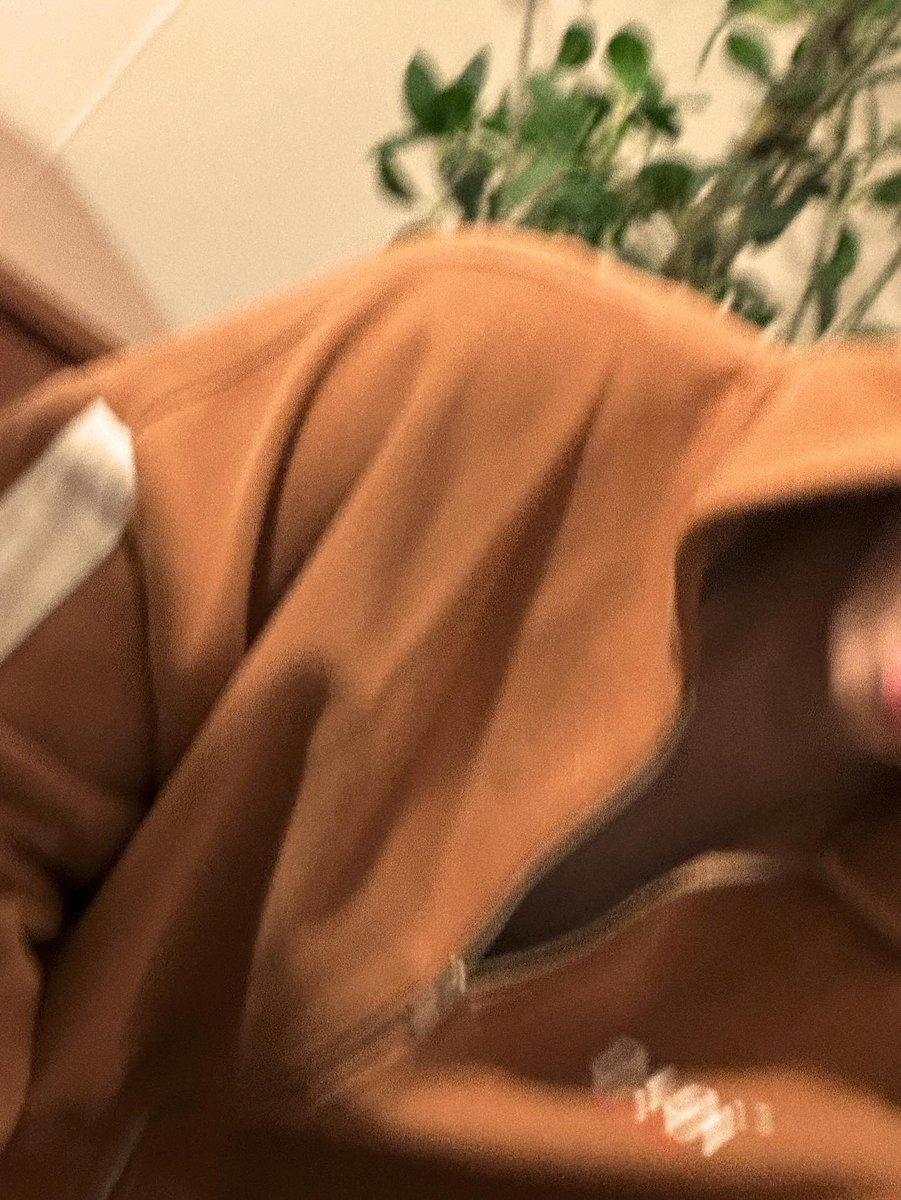 atbo archive tweet media