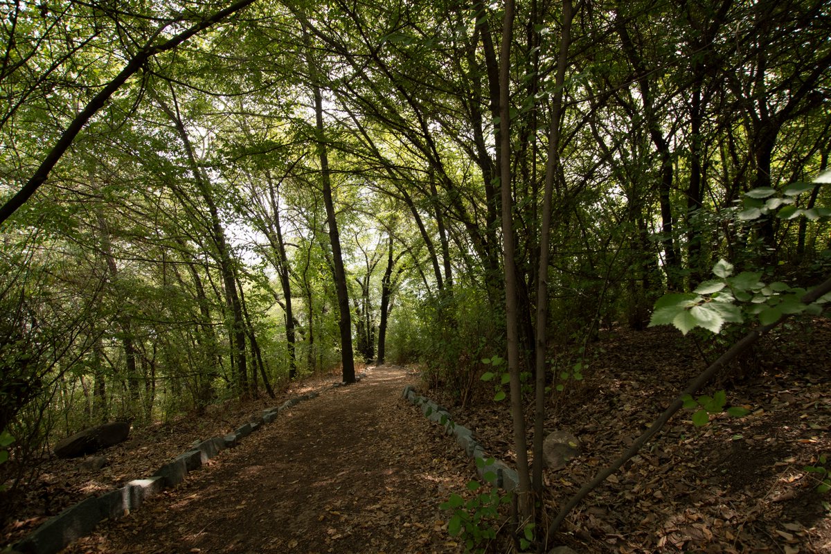 Disfruta y aprende de flora nativa en nuestro centro de educación ambiental,  Bosque Santiago. 🌿

Visítanos en camino La Pirámide 6000, Huechuraba de martes a domingo y festivos de 10:00 a 18:00 horas.