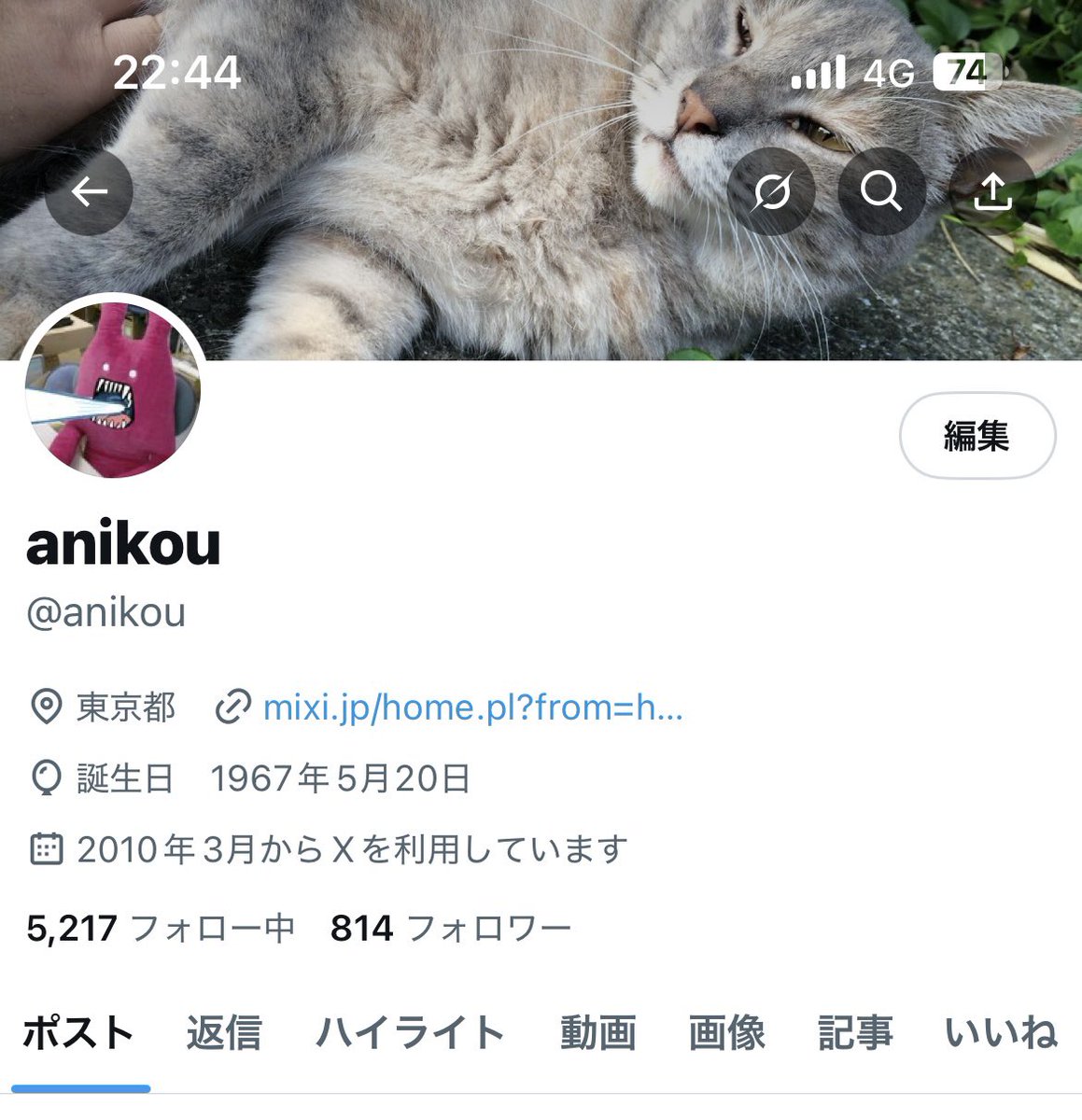 anikou tweet media
