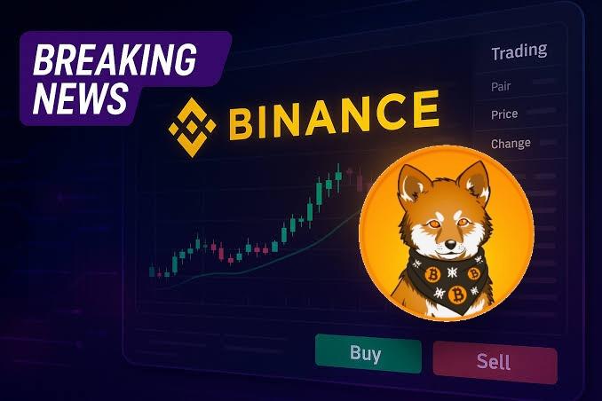 When $LOBO ? <a href="/binance/">Binance</a> <a href="/cz_binance/">CZ 🔶 BNB</a> <a href="/AFKBNB/">Ahmed Faraz Khan 🔶 Binance Angel 🇵🇰</a> <a href="/AFKBNB/">Ahmed Faraz Khan 🔶 Binance Angel 🇵🇰</a> 
1000 Likes 200 RT 🔄 If you see this post, please RT and support it, get this post to <a href="/binance/">Binance</a>