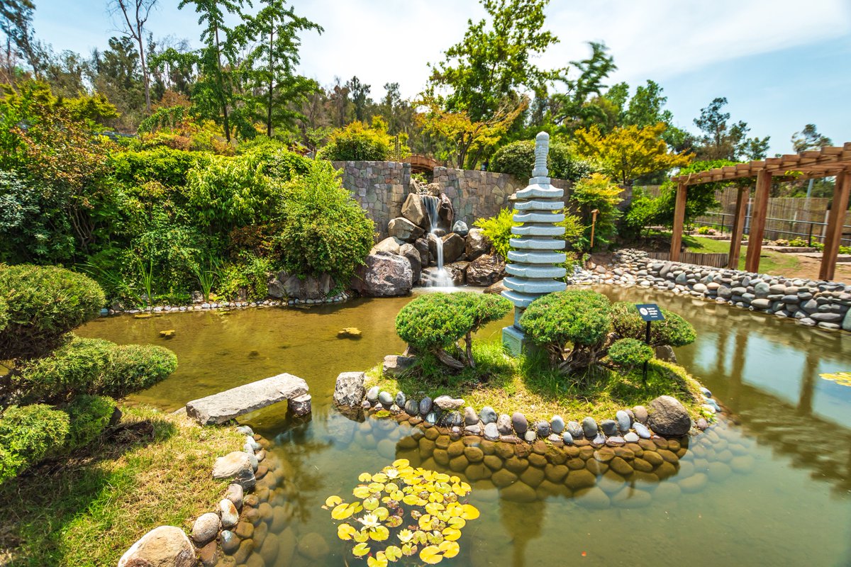 Pasa un tiempo de relajo en el jardín Japonés 🗾 Martes a domingo y festivos de 09:00 a 18:00 horas.    

🌳Acceso: Pedro de Valdivia.