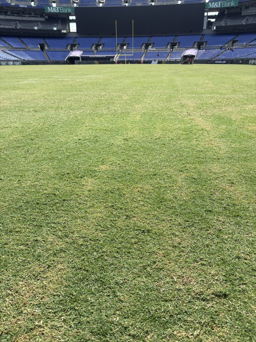 Dan Ampthor tweet media