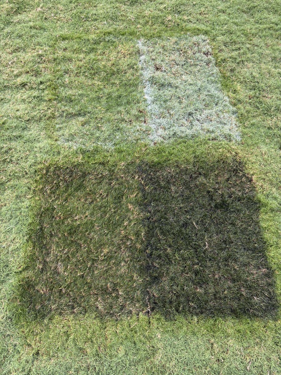 A few photos of what we’ve been up to over the last couple of weeks.