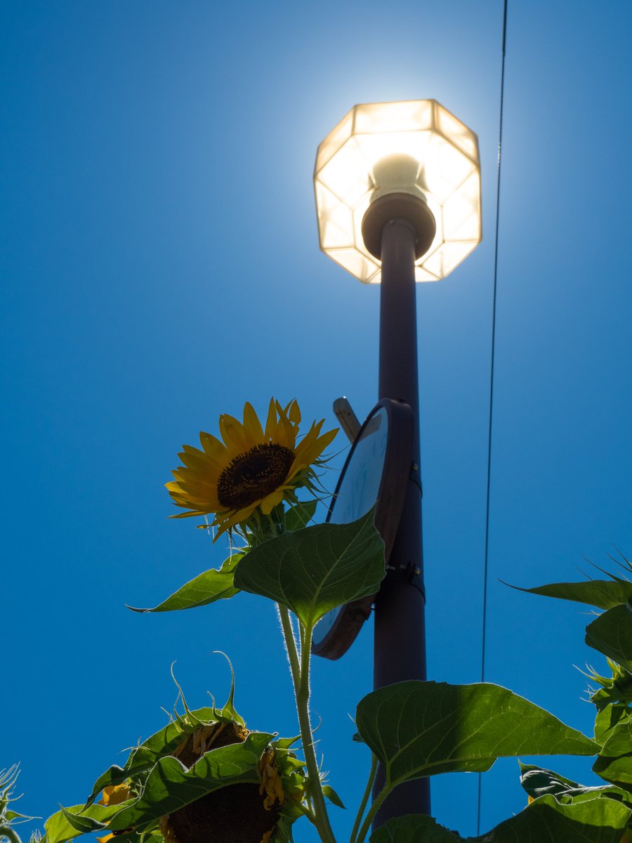 laycomathi's tweet image. 