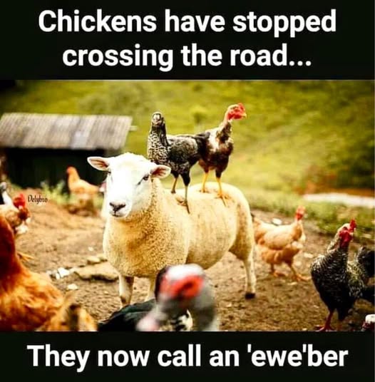 Dover/Kent MPO (@doverkentmpo) on Twitter photo 